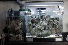 Killikus&reg; Fotographie